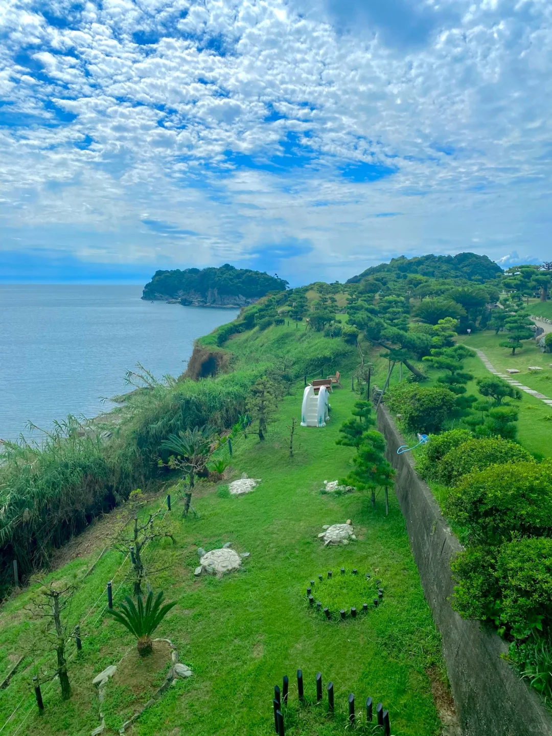 A Super Niche Instagram Spot in Wakayama 🤣 Just 1 Hour from Osaka