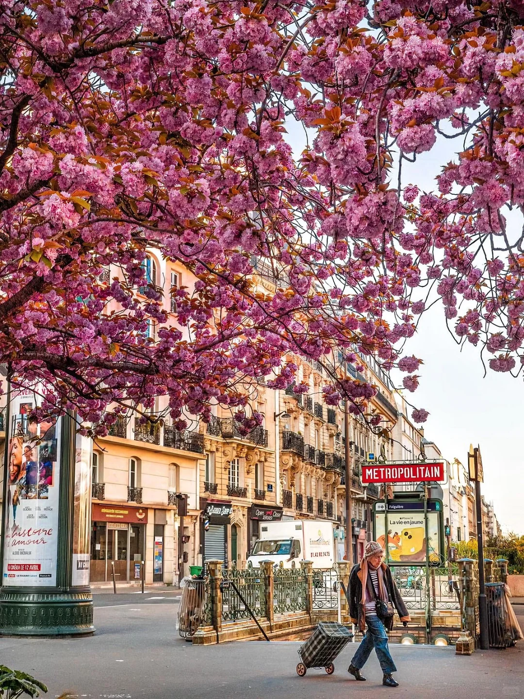 Paris 🌸 Top 10 Must-Visit Sakura Spots for Stunning Photos! Plus Blooming Periods