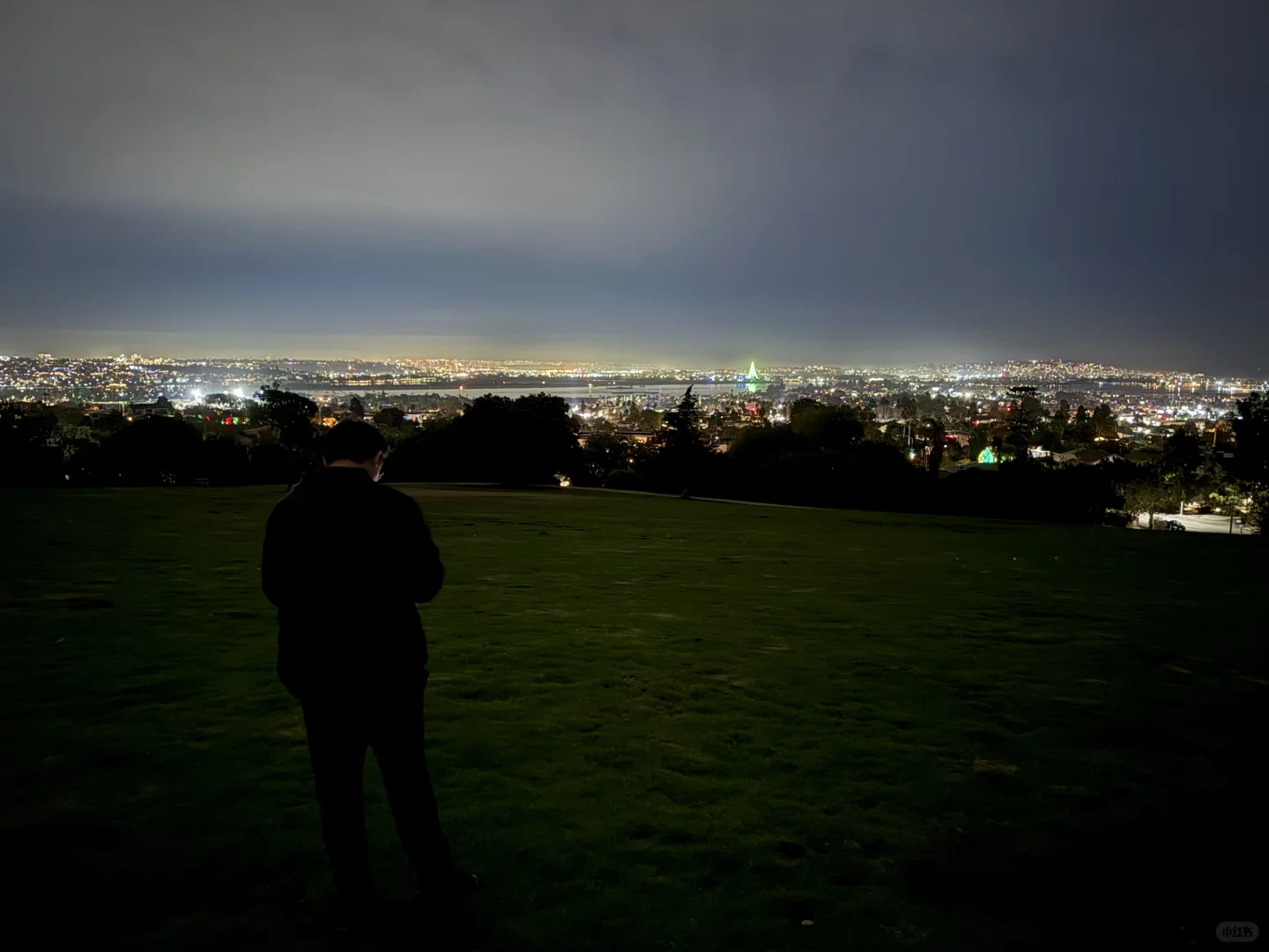 "Enjoying a Beautiful Little Hill in La Jolla, San Diego 🌃"