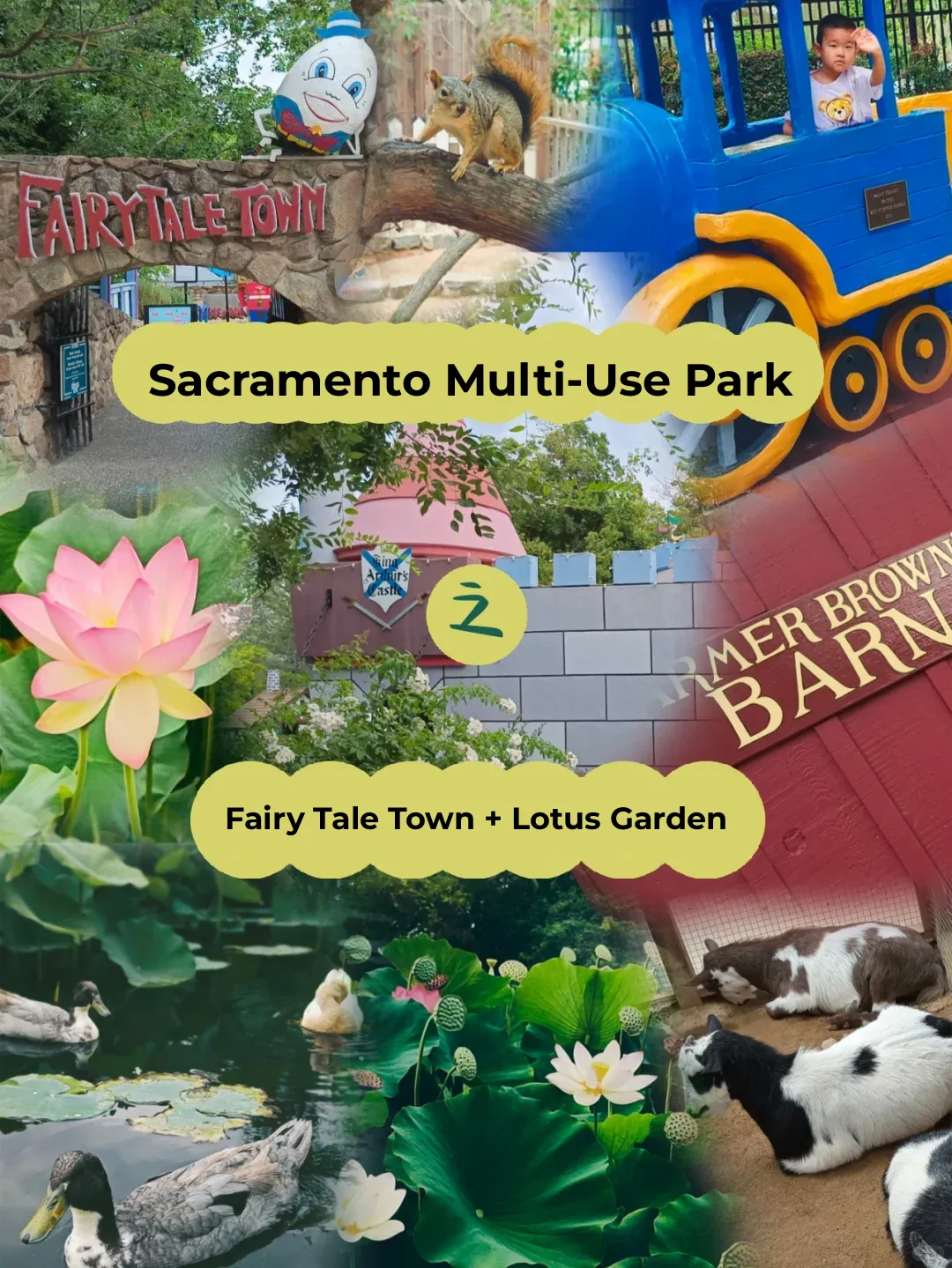 Sacramento｜Stop by here if you have a 2-hour layover