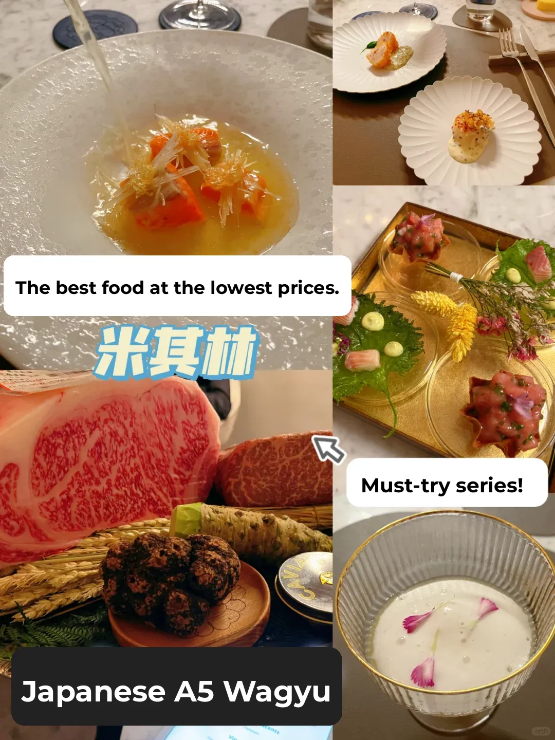 The Best and Cheapest Michelin-Starred Meal in Paris – Just €65 at Lunchtime!