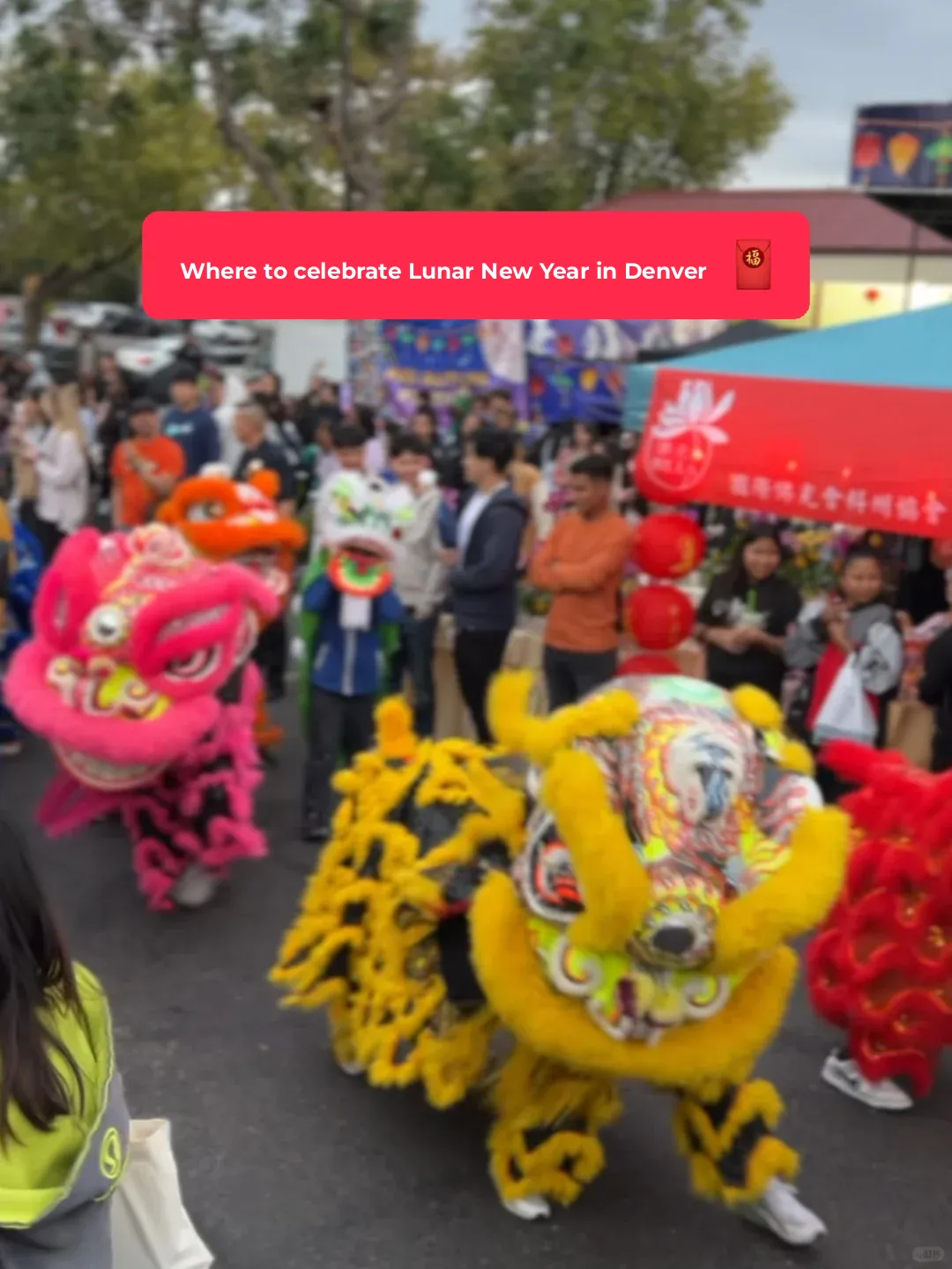 Denver Lunar New Year Celebration