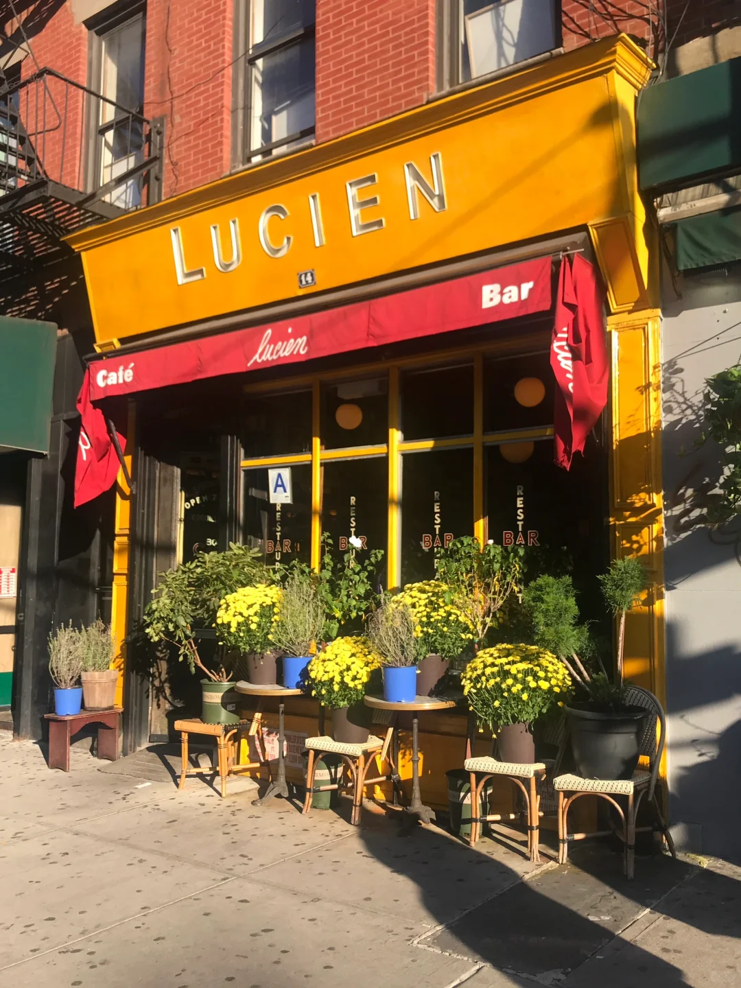 Hidden Gem Restaurants in New York 🍽️🌟