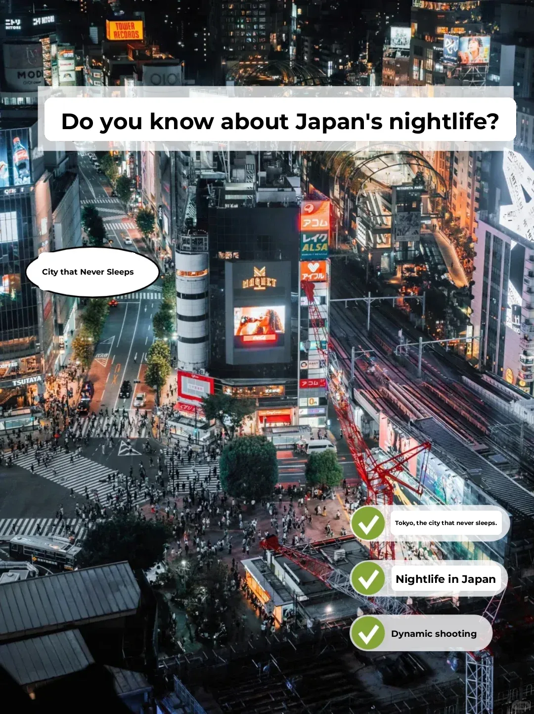Curious About Japan's Nightlife?
