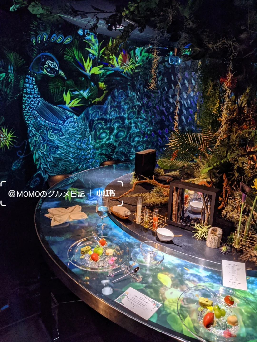 Yoyogi Park - The Romance of Light and Shadow ✨