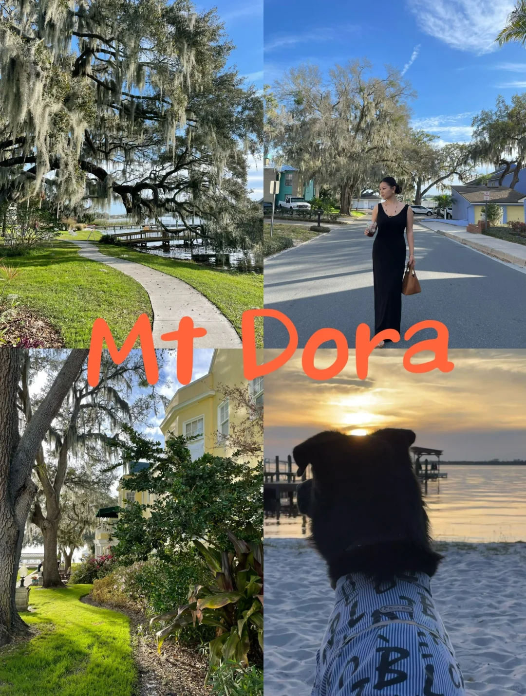 Orlando's Hidden Gem: A Rival to Winter Park? 📸