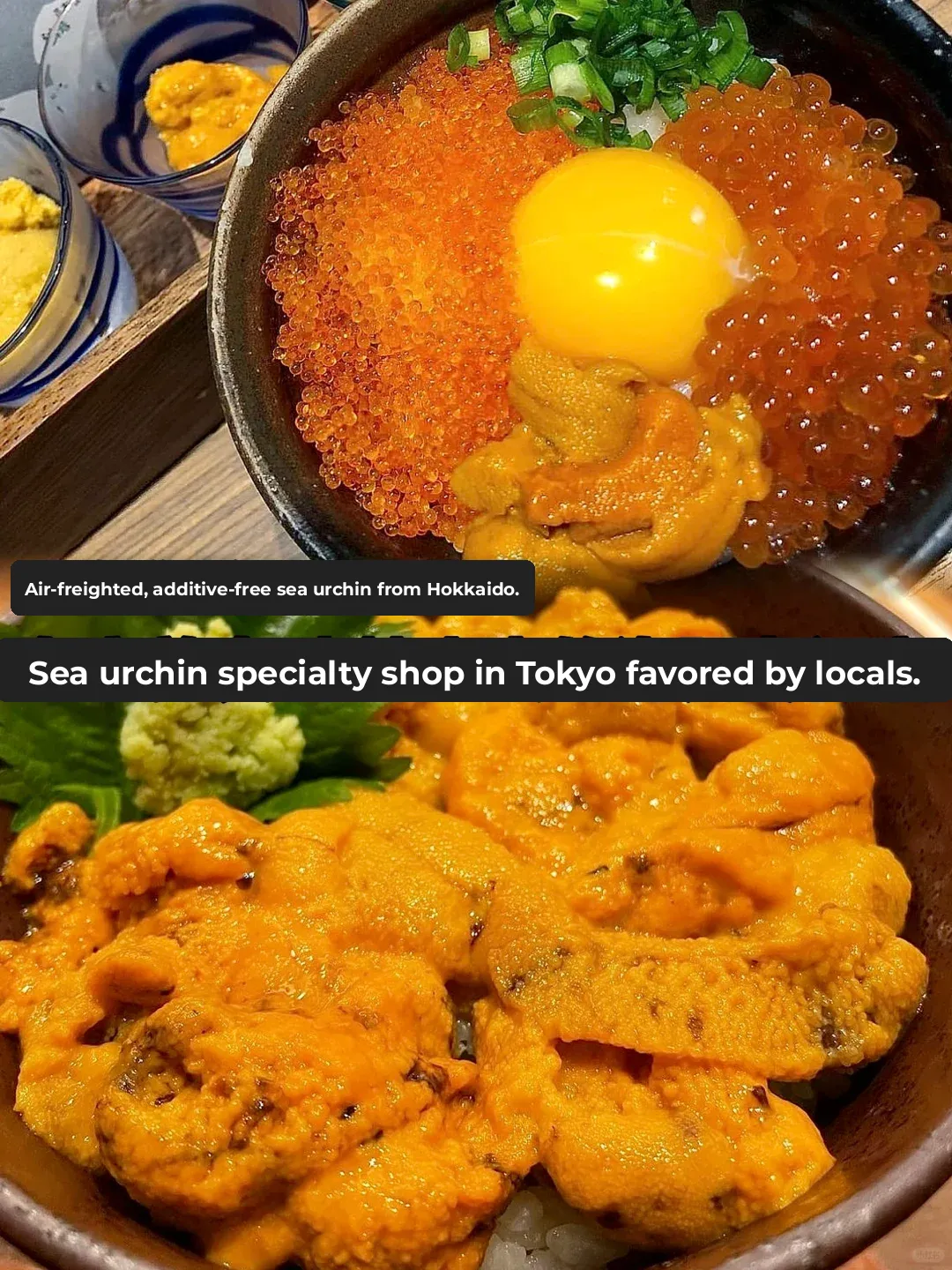 Who's Still Going to Tsukiji Market? Suckers Paying Sky-High Prices for Uni 😤