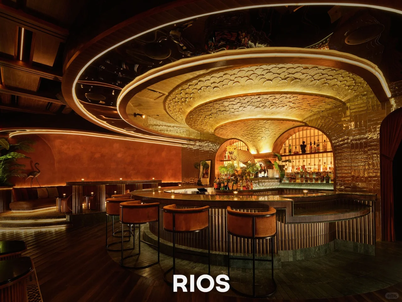 Powder Room: Austin's Hidden Speakeasy