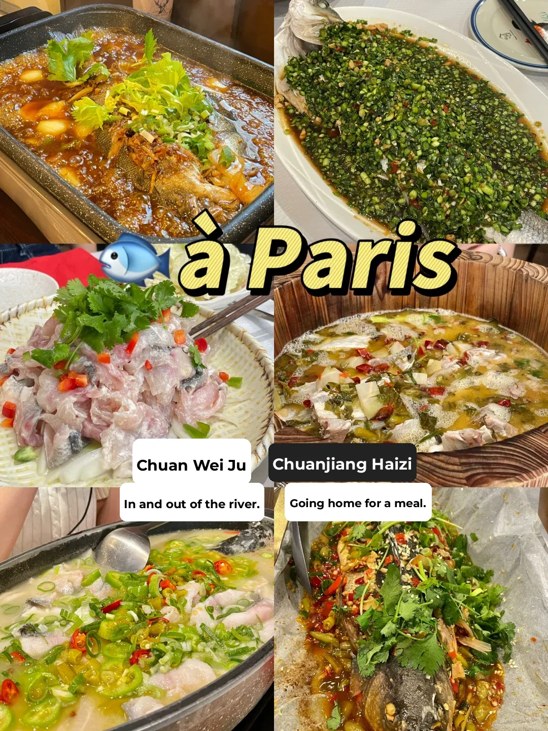 🇫🇷 Paris Fishin' 🐟