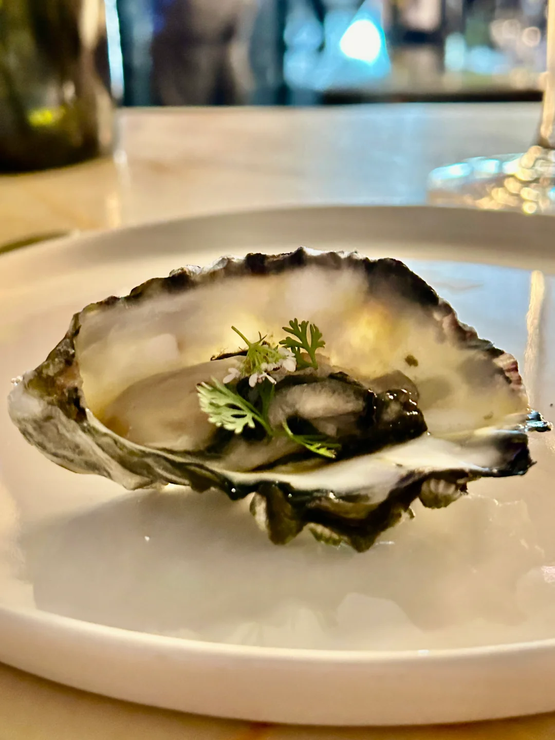 San Francisco | A Low-Key, Refined, and Classy Bar