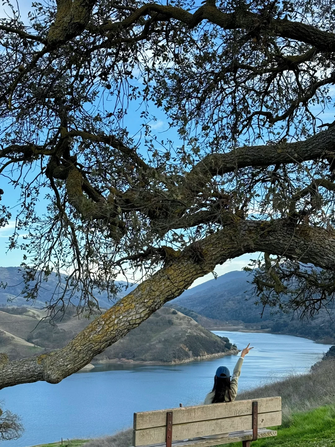 Del Valle Lake Trail: Bay Area Hike with Scenic Lake Views