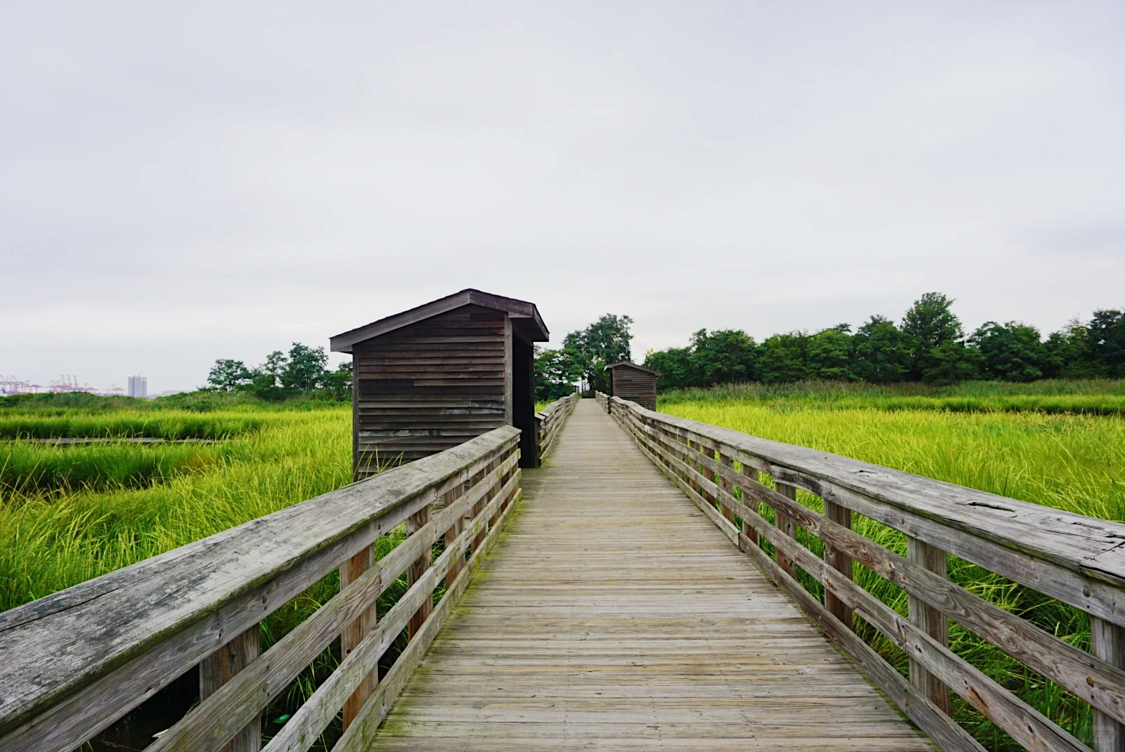 【Around New Jersey】Rutkowski Park | Wooden Bridges, Reeds, and Airplanes