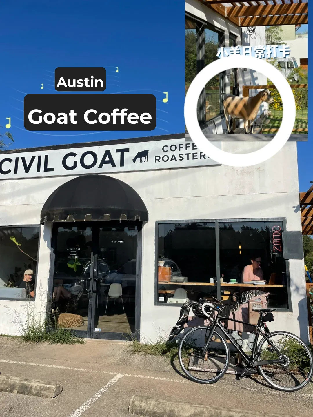 🐐 Austin's Goat Coffee ☕️ Must-Visit Spot – Civil Goat Sighting