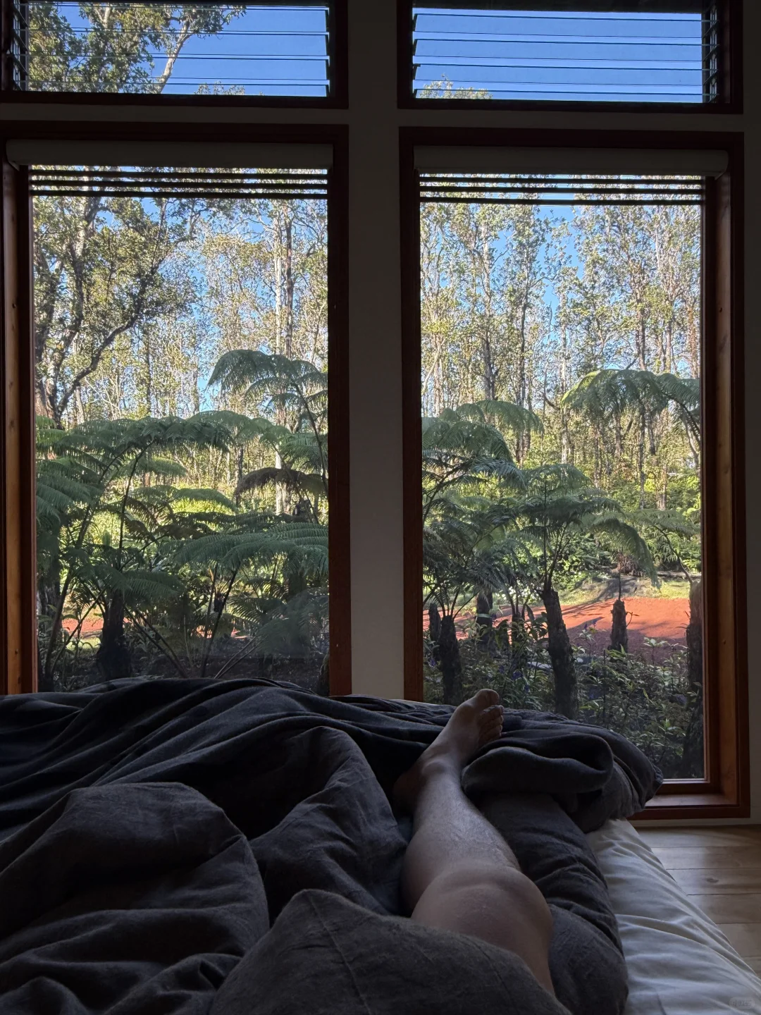 Unveiling the Mystical Cabin Beneath Big Island's Volcano