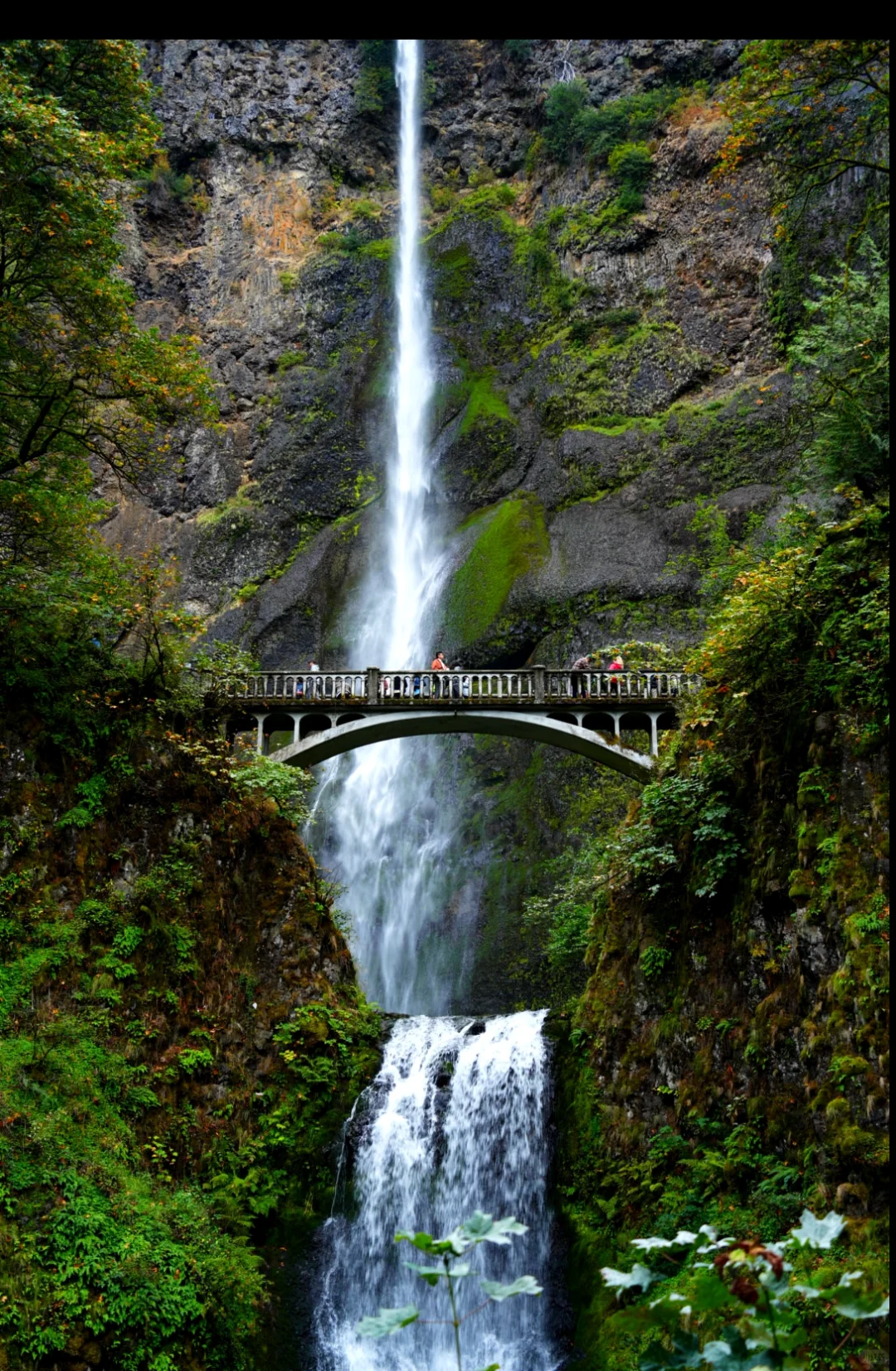 3 Days 2 Nights in Seattle to Oregon + Stargazing Camping Adventure