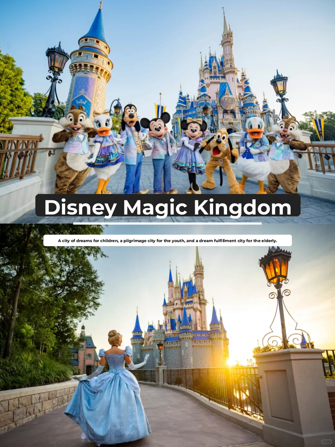 "Explore Orlando Like a Pro! Join Our Exclusive Small Group Tour and Unlock 13 Top Theme Parks"