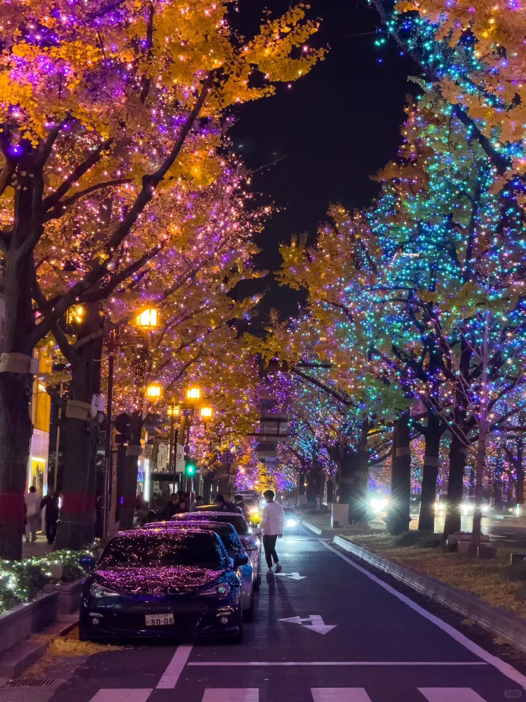 24 Years of Osaka & Kyoto 🎄 6 Must-Visit Christmas Light Displays & Markets Guide