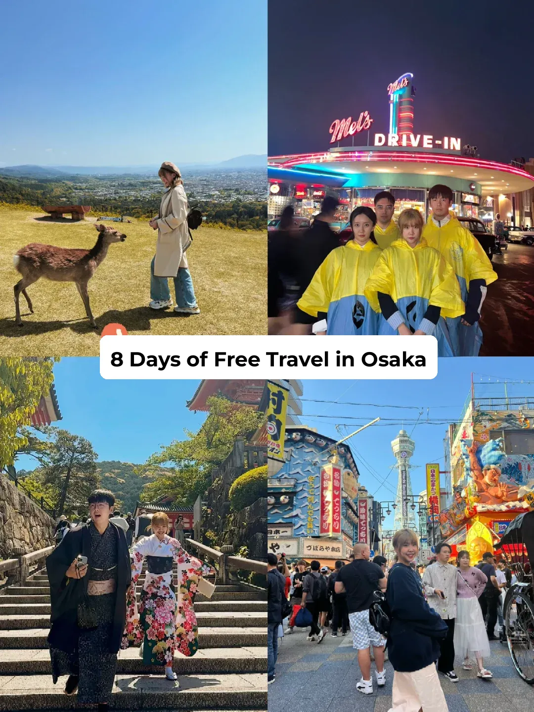 🔅☁️ 8-Day Osaka Free & Easy Itinerary 🚇🚌