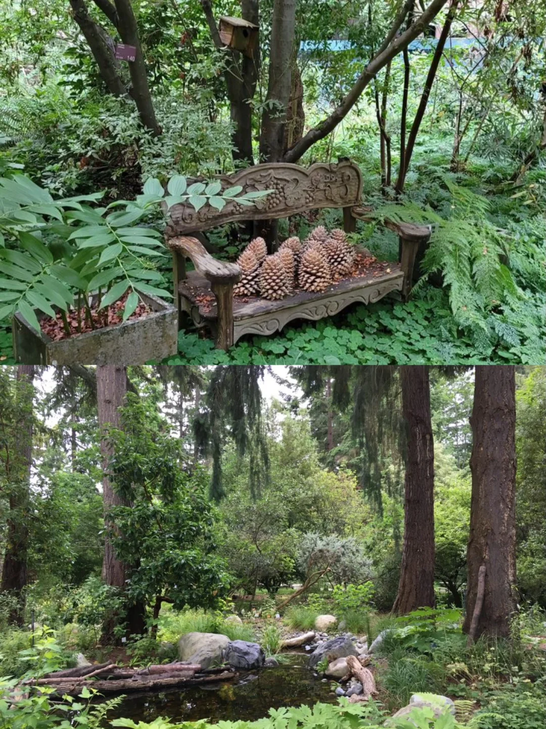 9 Must-Do Activities in Edmonds Near Seattle 🎈 Weekend Getaway