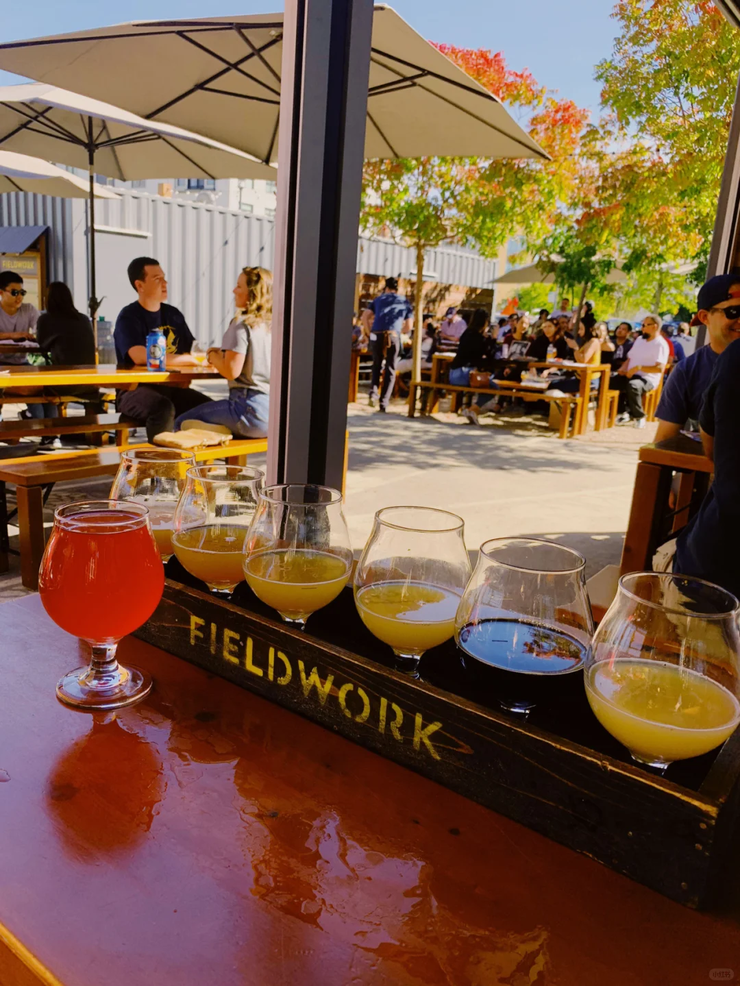 San Francisco Bay Area Weekend Chill—Sour IPA for the Ladies