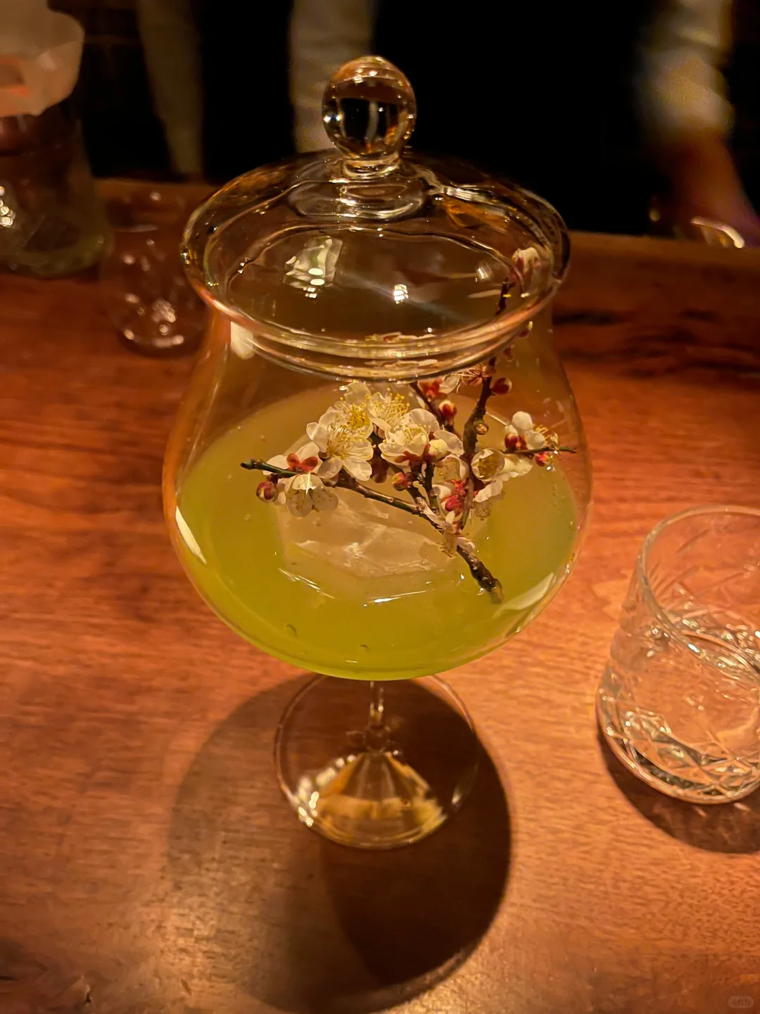 Found My Soul Bar in Tokyo!! Highly Recommended