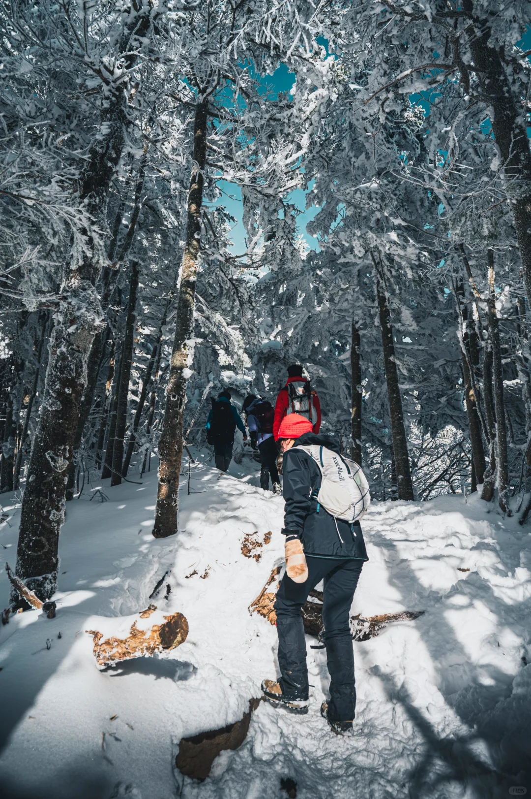 Tokyo Day Trip | Mount Kurohime: Perfect for Absolute Beginners, You Gotta Go!