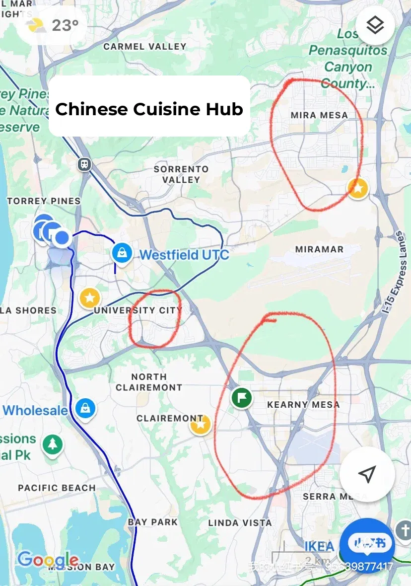 Cantonese Cuisine Review in San Diego, SD 🍽️