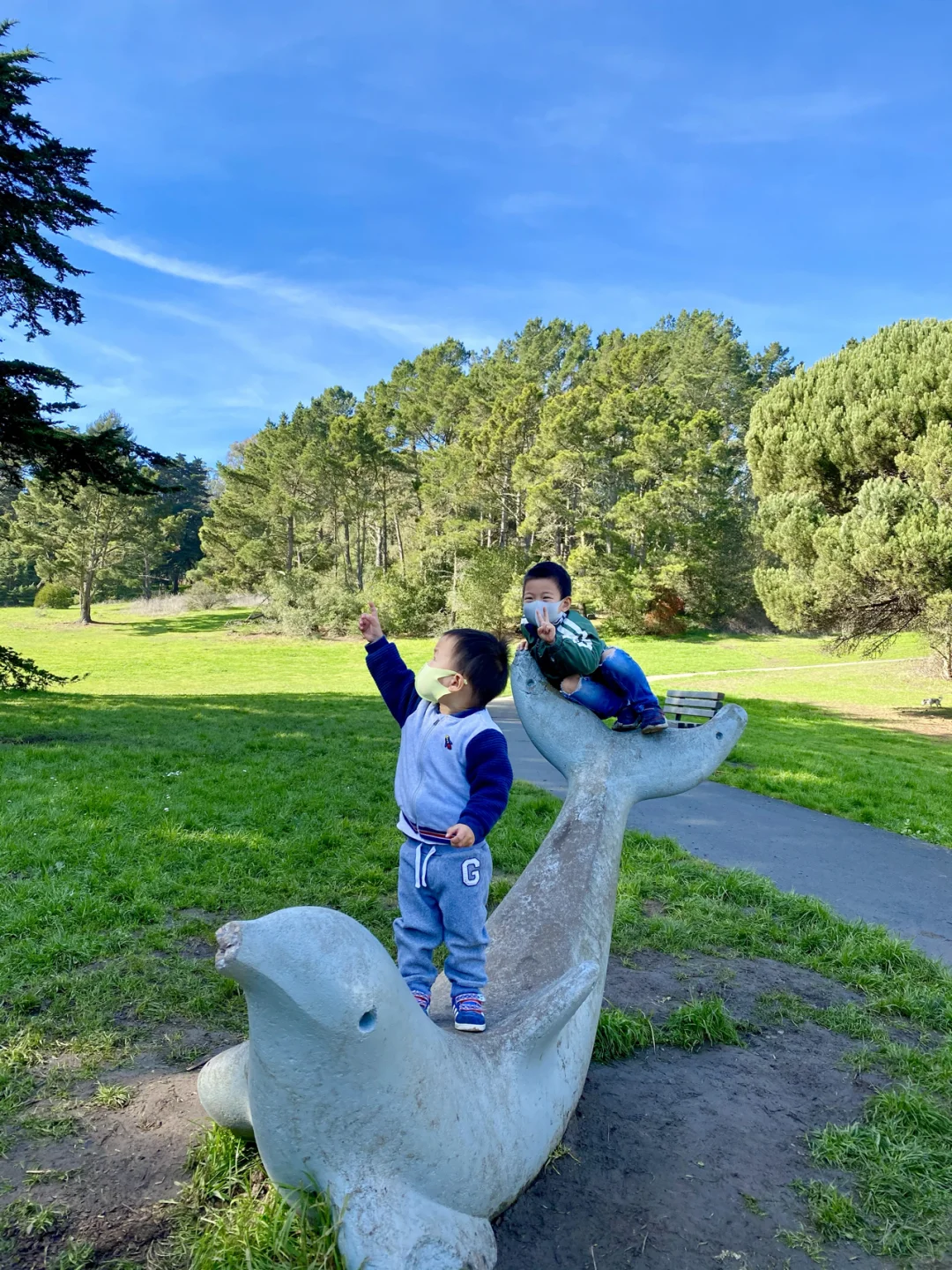 【Bay Area Family Fun】Discover Your Hidden Gem Park for All Needs