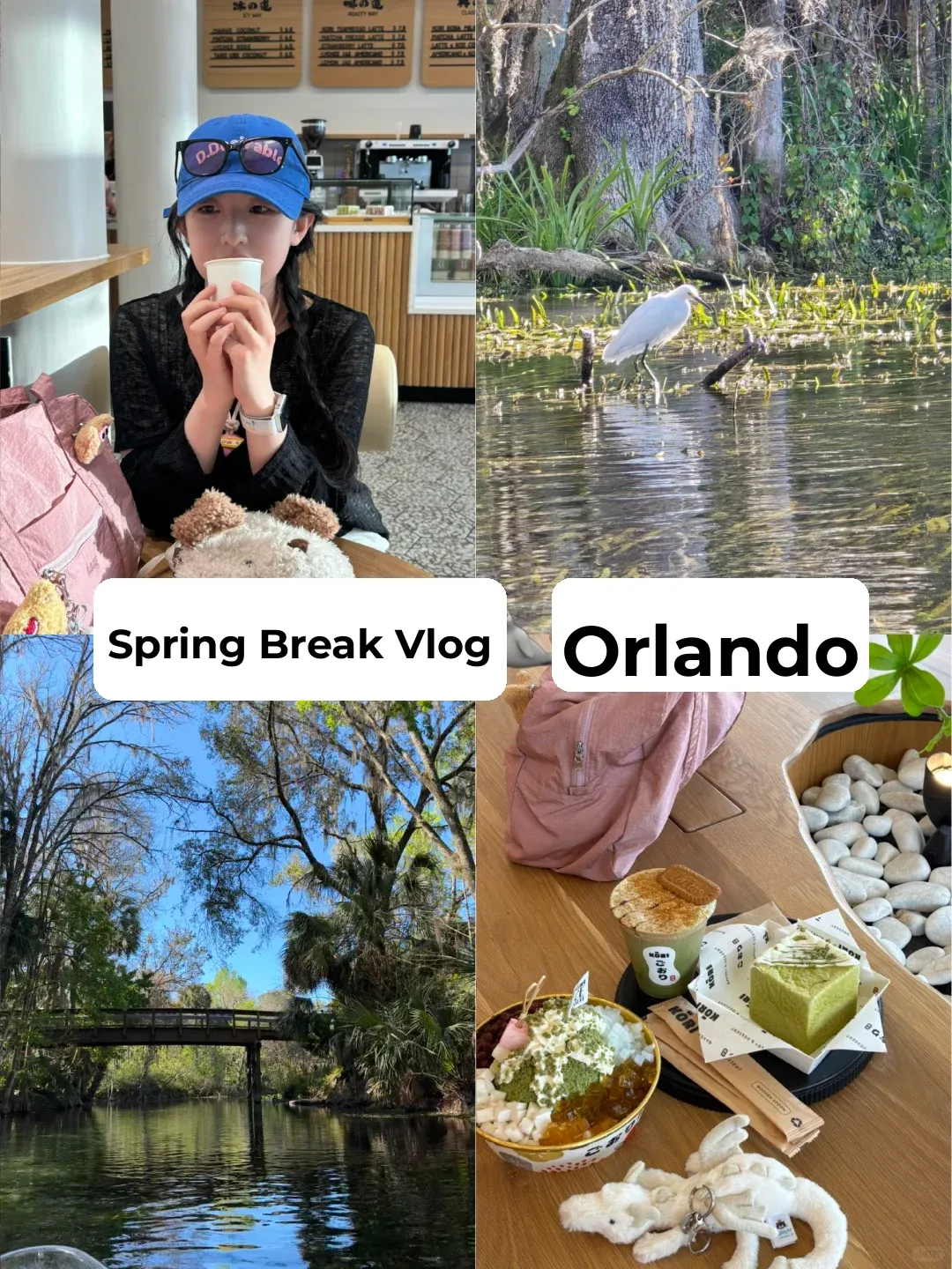 International Student's Spring Break Orlando Adventure Diary Vol. 3