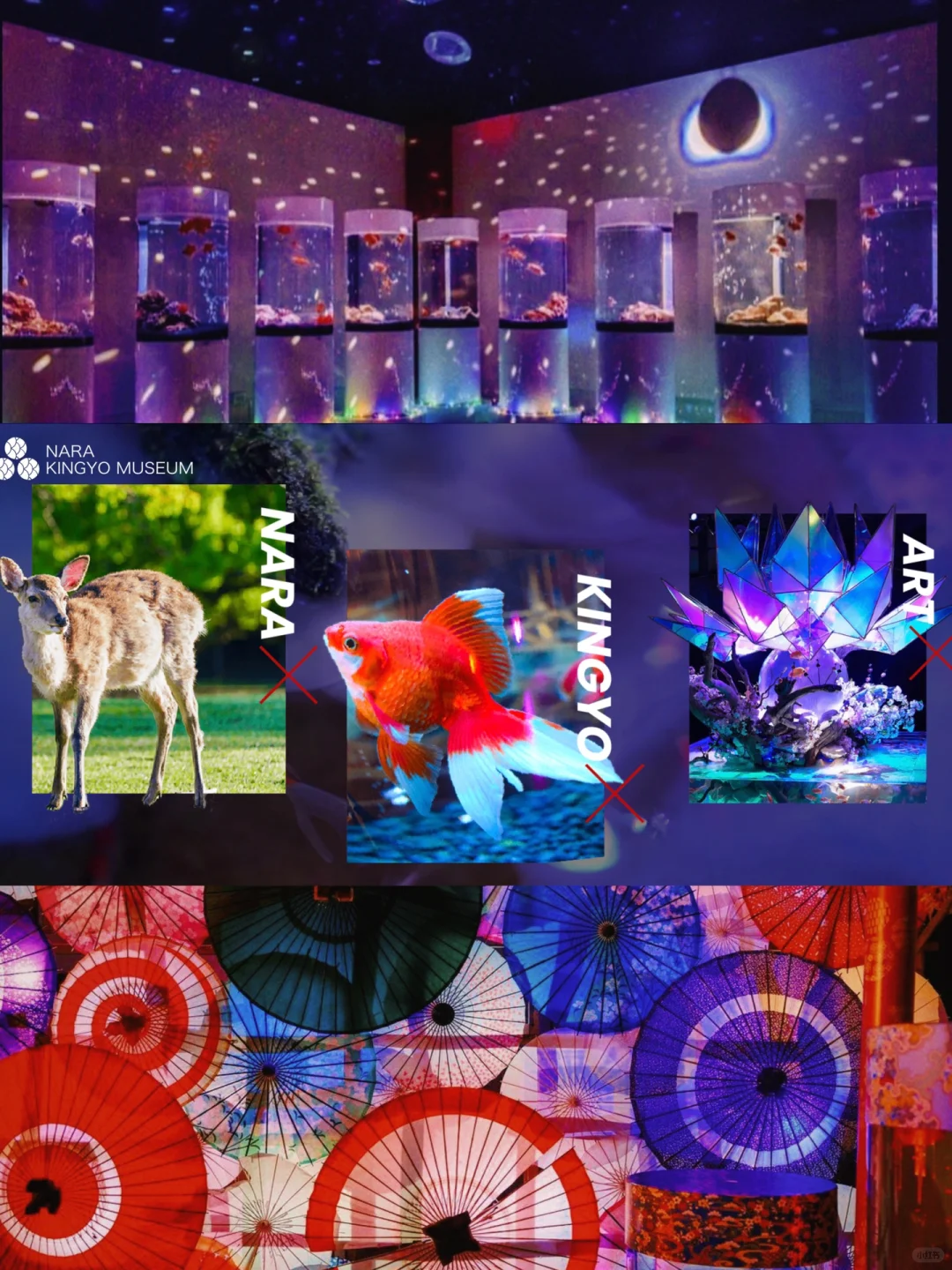 🎐 Dreamy Nara Goldfish Museum 🎍 New Year Special Event Kickoff