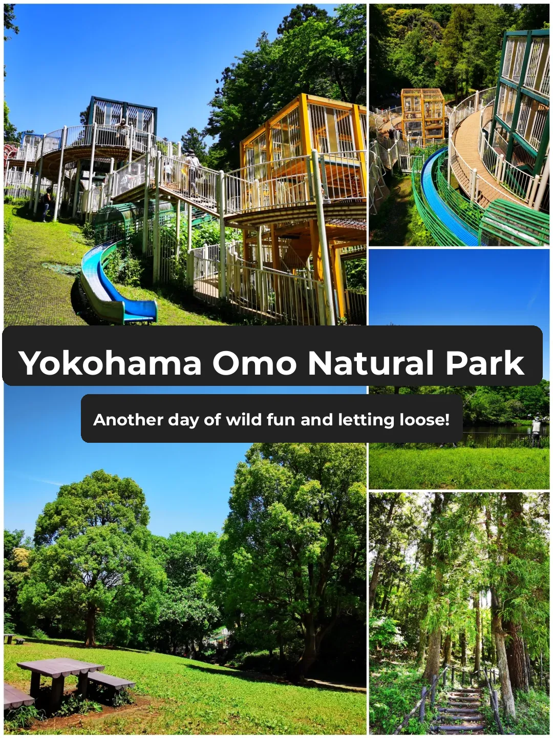 Free Family Outing Near Tokyo (Yokohama Children's Nature Park)
