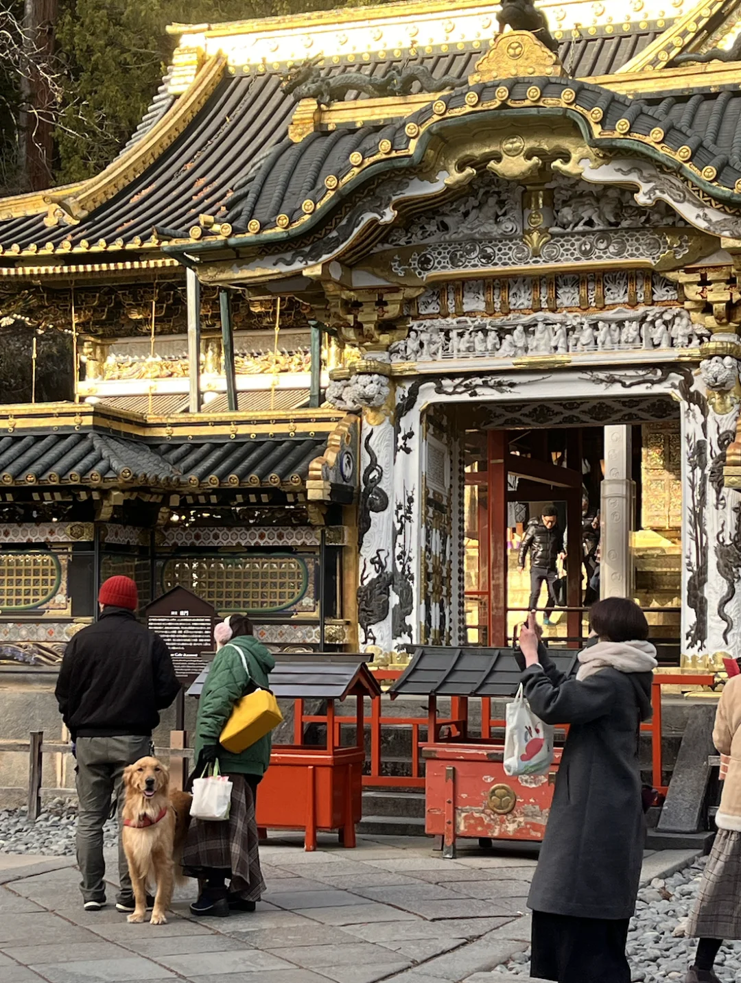 🇯🇵 Two-Day Itinerary for Hidden Gems in Tokyo ⛩️ (Highly Recommended!)