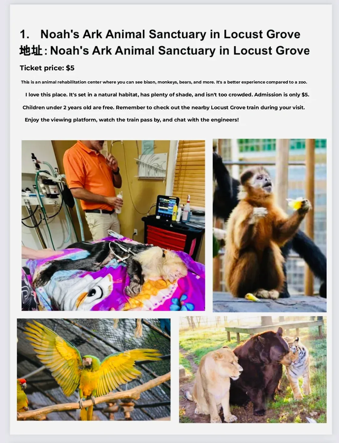 USA 🇺🇸 Georgia | 12 Hidden Gems for Little Ones 🥰