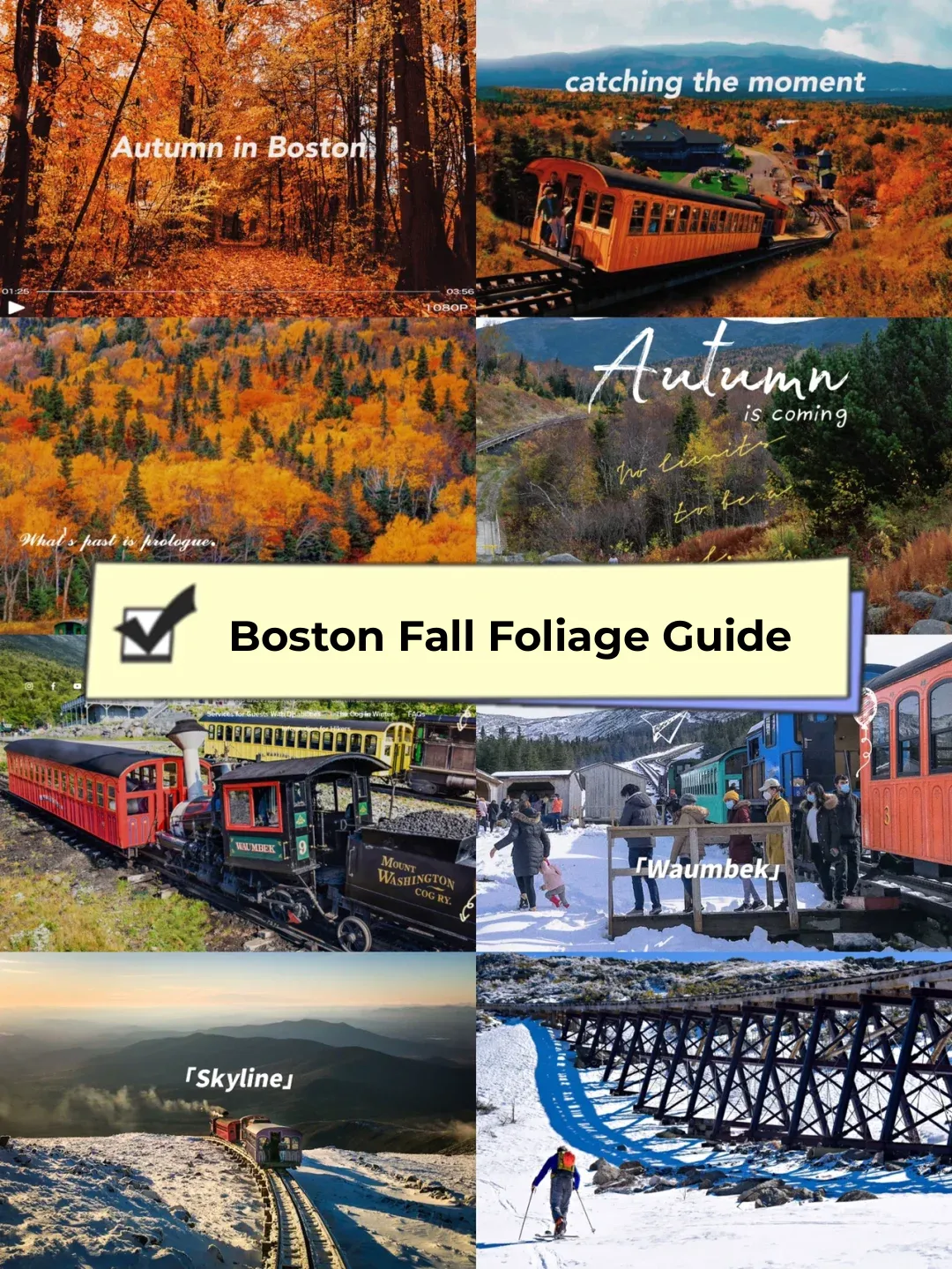 The Ultimate Guide to Stunning Fall Foliage and Snowy Scenes in Boston❗️