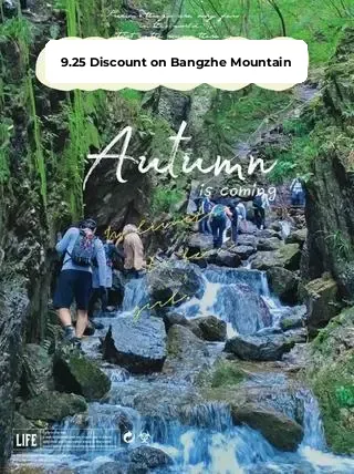 Day Trip Hiking in Tokyo | Canyoning at Mount Bōtetsu! Forest Bathing!