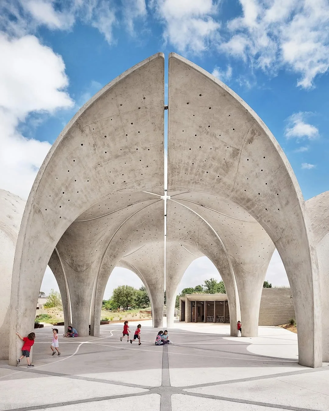 Art & Environment Case 43🐘 (The Poetry of Flow)