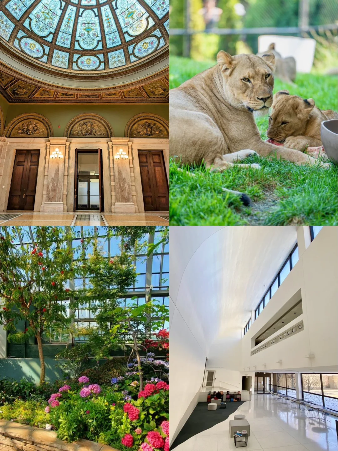 New Ways to Explore Chicago 😌 Visit 20 Must-See Spots for Free 💰