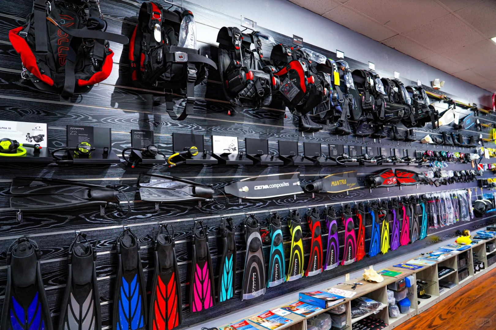 Florida | The Only Chinese-Owned 5-Star Dive Shop Certified by the Official Agency🌟