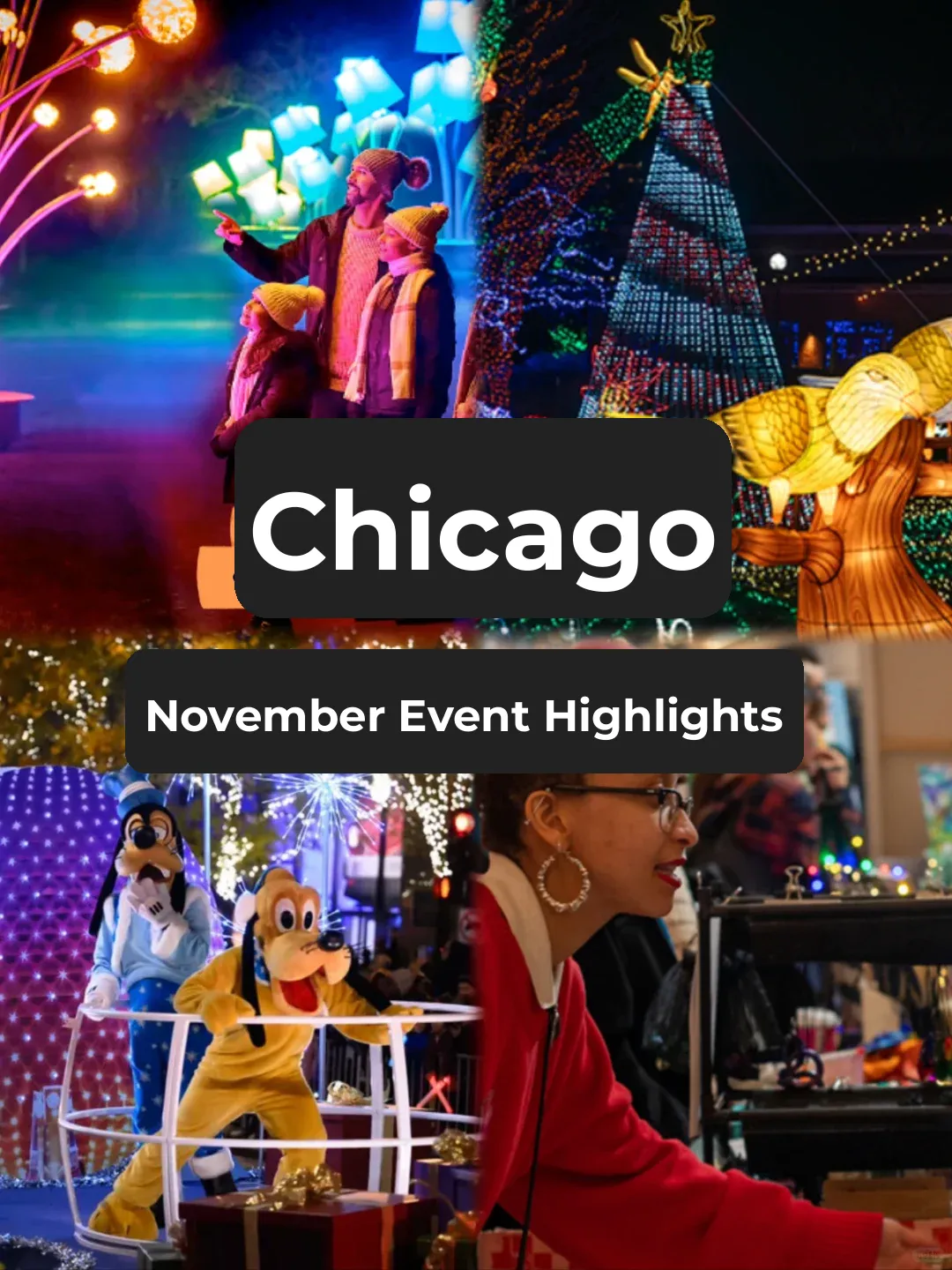"Chicago in November 🔥 Don't Miss These Amazing Light Shows!"