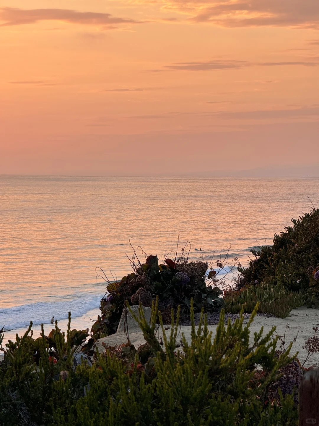 Flew to San Diego for the Meal of a Lifetime 🥂✨