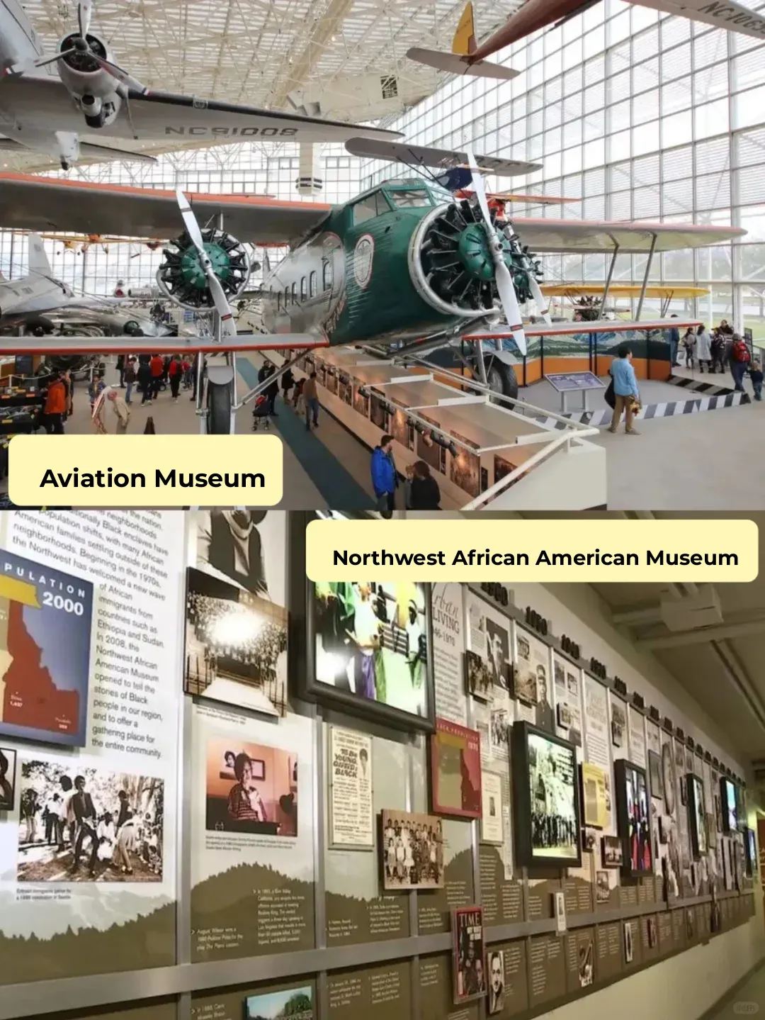 Totally Free! Cultivate Your Mind Without Spending a Dime!