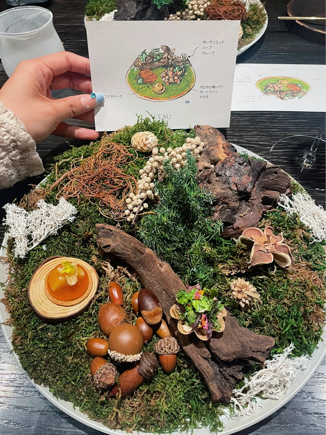 🇯🇵 The Last Beautiful Meal of the Year 🍴