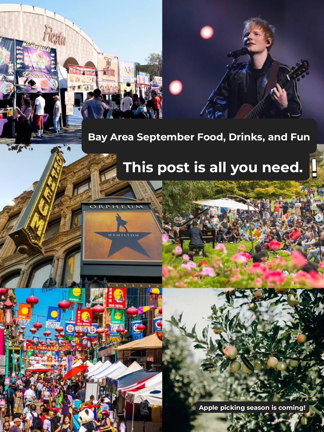 Bay Area September Roundup: Your Ultimate Guide to Eating, Drinking, and Having Fun! 🧡