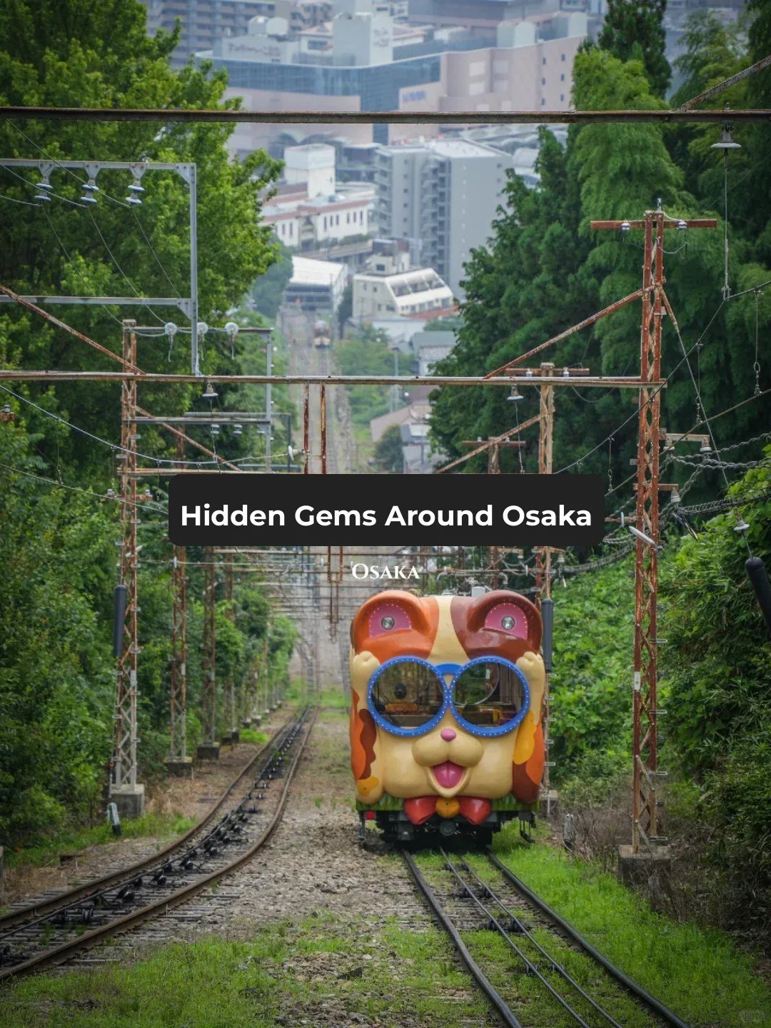 Escape the Crowds ❌: Discover These Underrated Spots Near Osaka for Stunning Photos