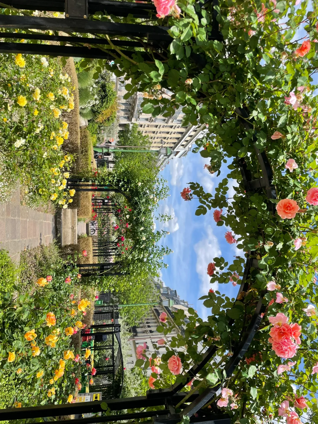Hidden Gem Garden Corridor Just a Short Ride Away on Paris Metro Line 3 🍃