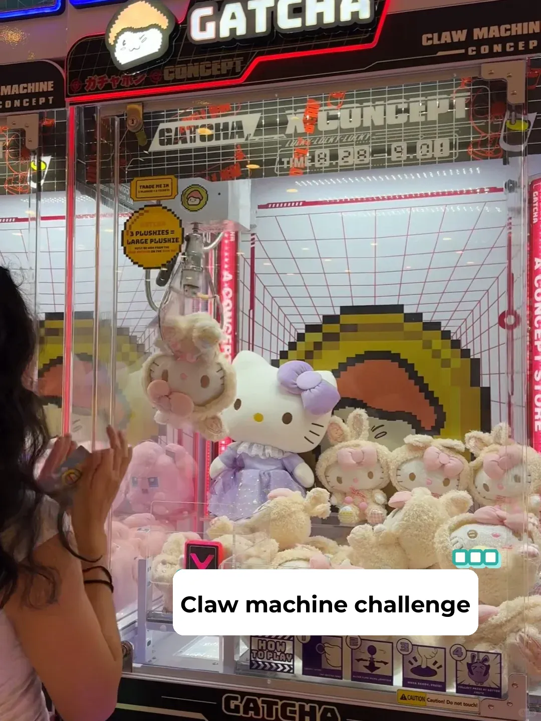 Sanrio Claw Machine Challenge in Orlando!