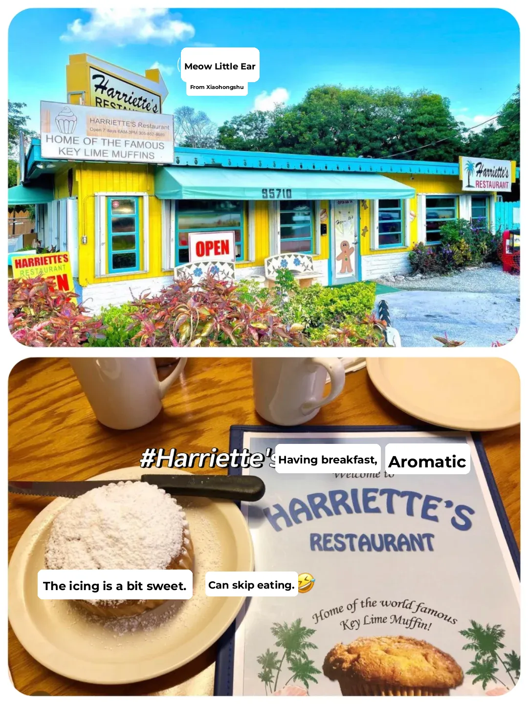 10 Must-Do Activities When Driving to Key West on U.S. Route 1!