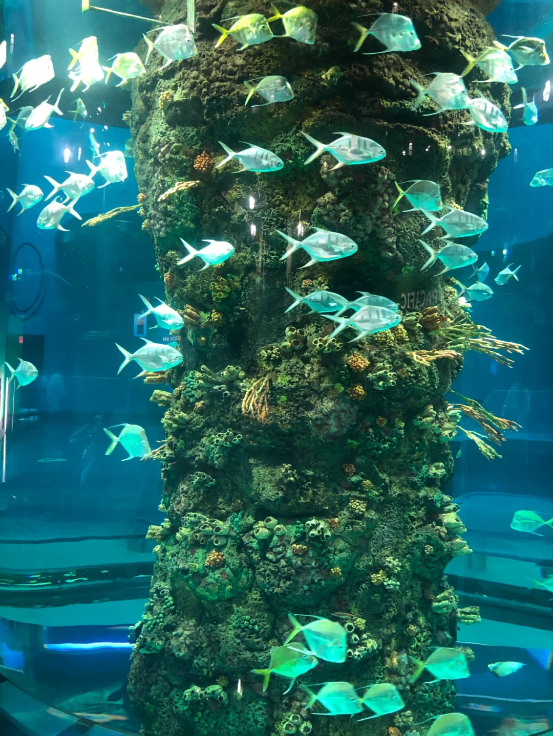 Day 2 of the Texas Trip