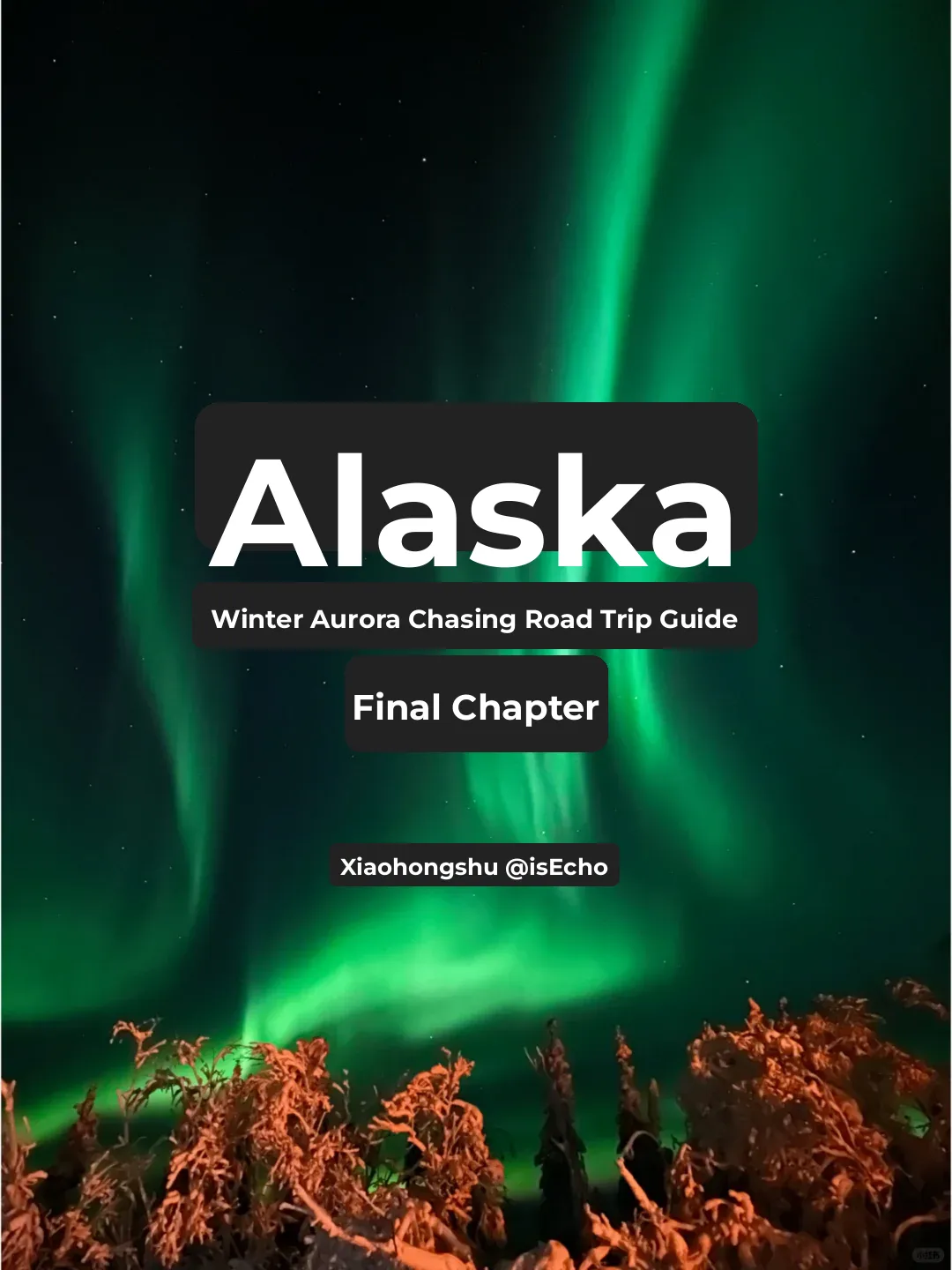Alaska Winter Aurora Road Trip Guide (Part 5): Where to Stay, Eat, and Get Around