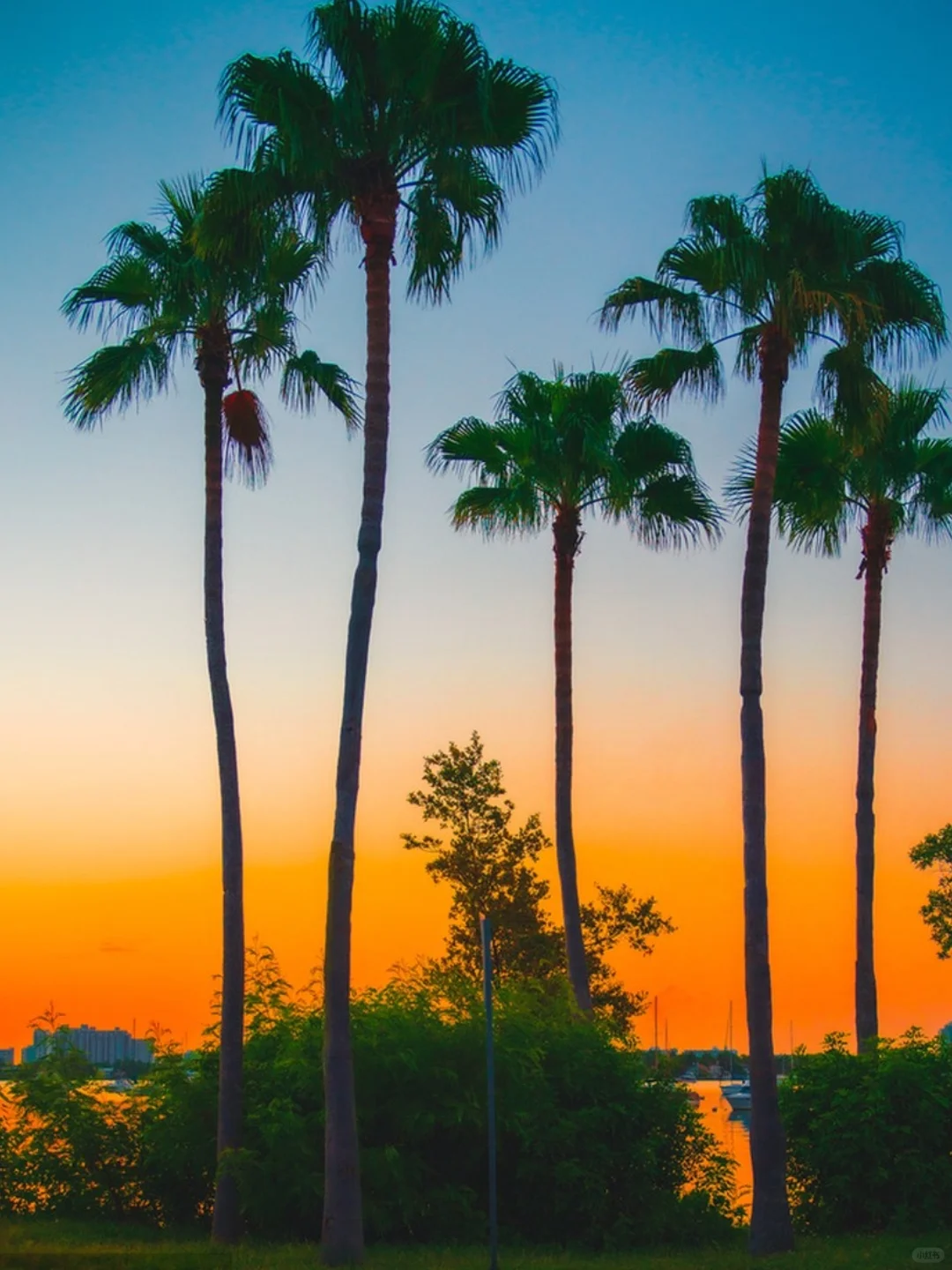 Miami Private Car Tour in the USA 🚙 with Must-Visit Attractions Recommendations